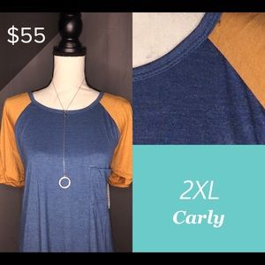 LuLaRoe Carly Swing Dress NWT 2xl
